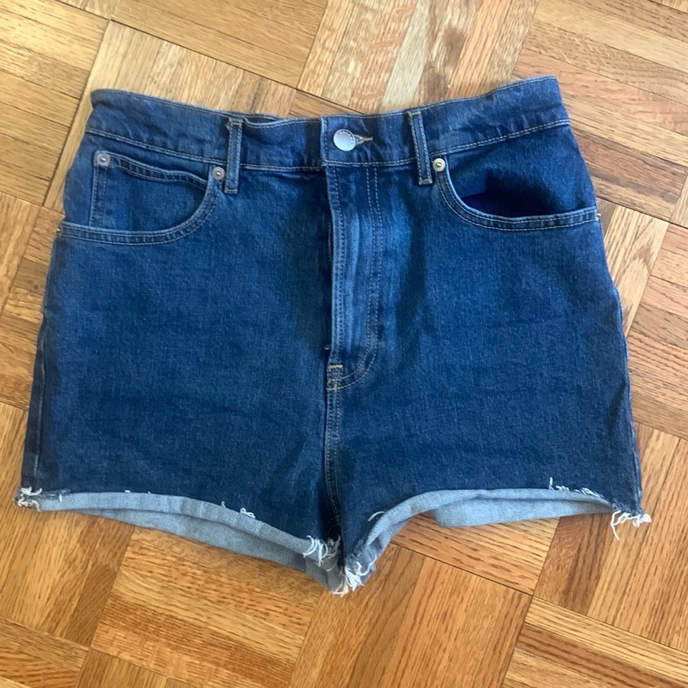 Everlane Way High Denim Short